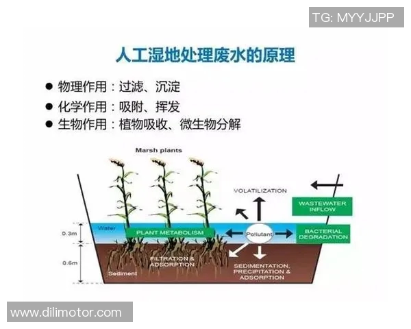 科学乒乓球灵活性训练方法提升运动表现与技巧的全面指南