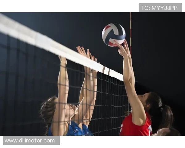 体育实时数据南京排球队比赛经验深度解析与实战技巧分享